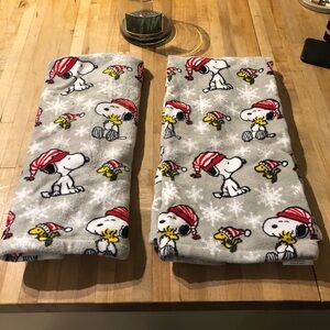 Peanuts Winter Hand-Dish Towel Set ❄️